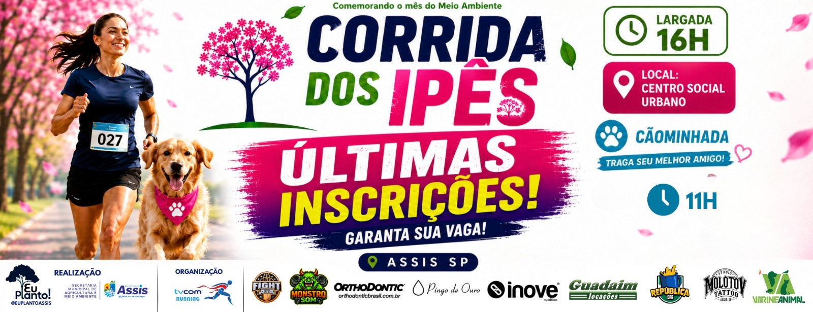 IPE ASSIS CEZIKA
