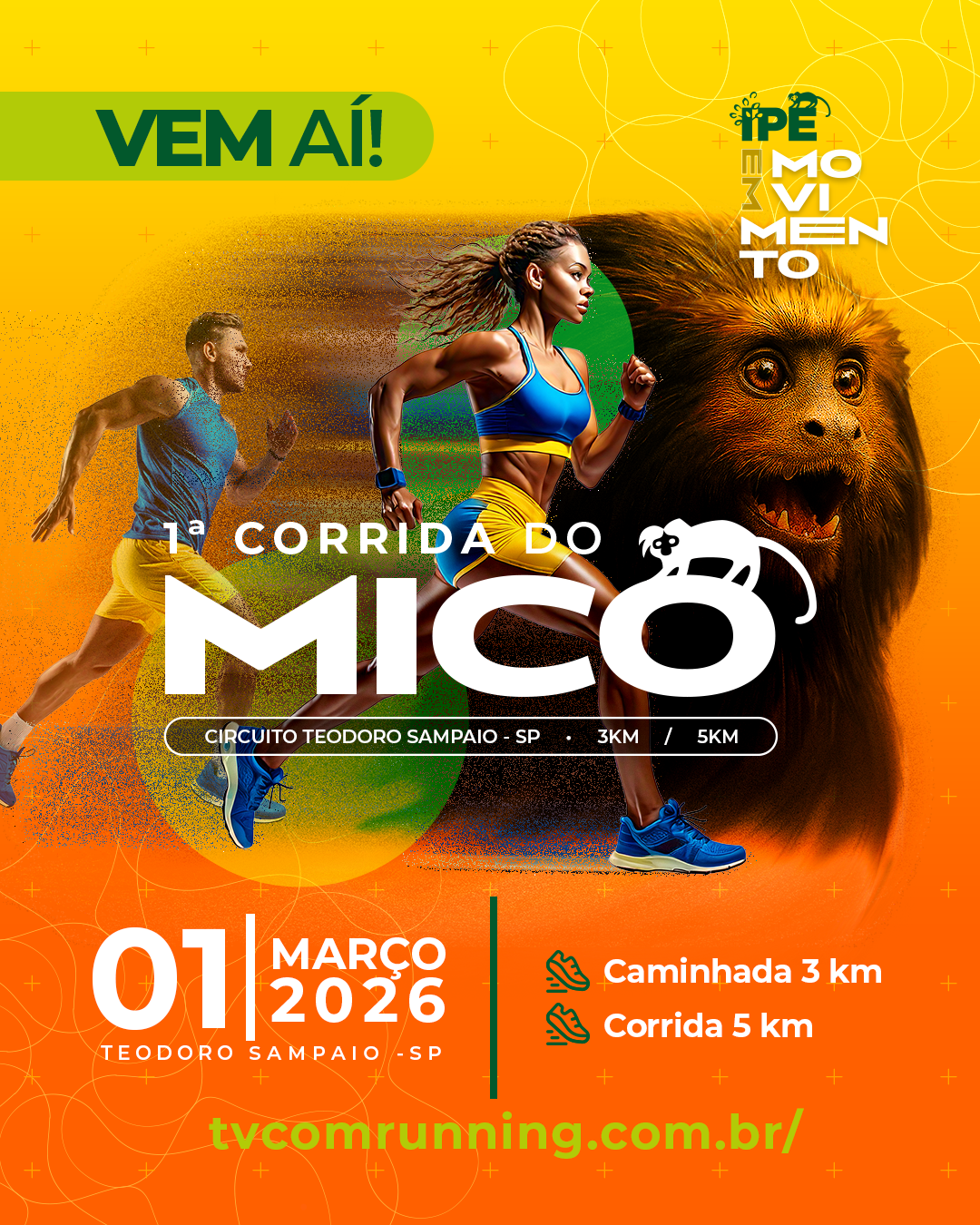 1ª CORRIDA DO MICO